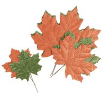 catégorie Feuillage, feuilles et champignons