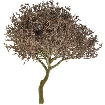 catégorie Fleurs de soie et pins