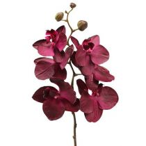 catégorie Orchidées artificielles