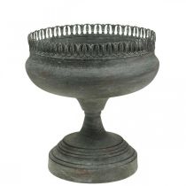 catégorie Coupe antique