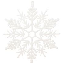 catégorie Neige artificielle