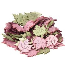 catégorie Feuillage, feuilles et champignons