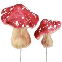 catégorie Feuillage, feuilles et champignons