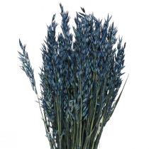 Fleurs séchées, avoine décoration grains séchés bleu 68cm 230g