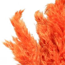Herbe de pampa déco orange séchée floristique sèche 72cm 6pcs