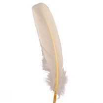 Article Plumes décoratives véritables plumes d&#39;oiseaux champagne 20g