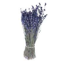 Article Lavande séchée Bouquet de fleurs séchées Bleu 25cm 75g