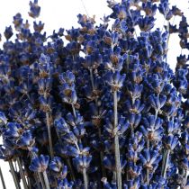 Article Bouquet de lavande séchée fleur séchée bleu 25cm 75g