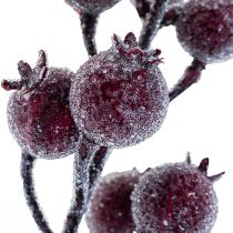 Branche d&#39;églantier branche de baies givre plante artificielle rouge 25cm 12pcs