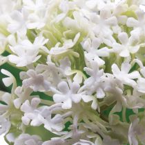 Article Fleur artificielle plante boule de neige Virburnum blanc Ø8cm 64cm