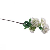 Article Fleur artificielle plante boule de neige Virburnum blanc Ø8cm 64cm