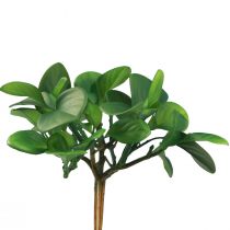 Article Plante verte artificielle succulente vert artificiel H14cm