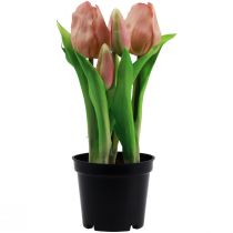 Article Tulipes artificielles en pot Tulipes Fleurs artificielles Pêche 22cm