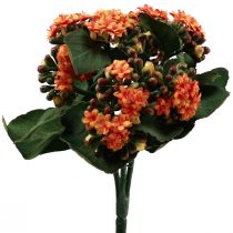 Article Flaming Käthchen Kalanchoe orange artificiel 24cm