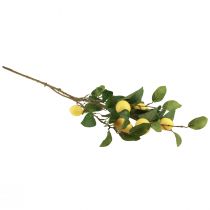 Article Branche de citronnier artificiel avec 6 citrons décoratifs, décoration estivale méditerranéenne, 100 cm, jaune-vert