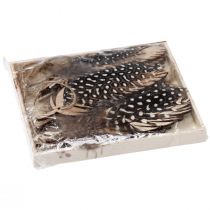 Article Pendentif plume décorative en bois plume naturelle 9,5/10cm 9 pcs