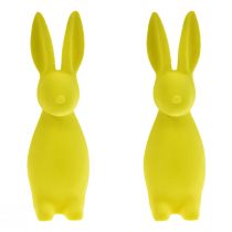 Article Lapins de Pâques floqués jaune-vert – 2e choix – 8 × 10 × 29 cm, 2 pièces