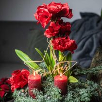 Amaryllis artificielle rouge 3 fleurs en soie sur boules de mousse H64cm