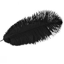 Article Décoration Plumes d&#39;Autruche Plumes Noires 32-35cm 4pcs