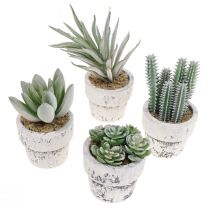 Article Succulentes artificielles en pot plantes artificielles vertes Ø4cm 12pcs