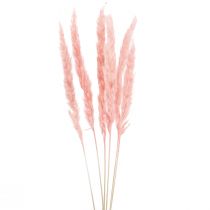 Article Herbe de pampa déco, herbe de pampa séchée herbe de pampa rose 72cm 6pcs