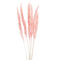 Article Décoration d&#39;herbe de pampa, herbe de pampa séchée herbe de pampa rose 72cm 6 pcs