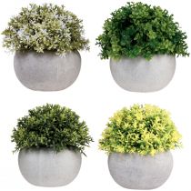 Article Plantes artificielles Buis artificiel 12,5cmר12cm 4pcs