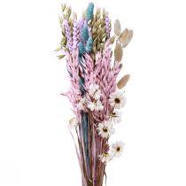 Bouquet de fleurs séchées fleurs de paille grain de Phalaris 58cm