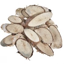 Article Tranches de bois de bouleau tranches de bouleau ovales 4-9cm 450g