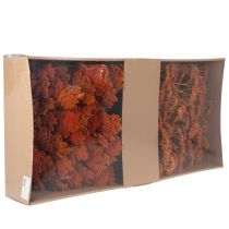 Article Achillée millefeuille orange séchée, 45-60 cm, 1 kg