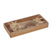 Article Étoiles décoratives à coller sur écorce d'arbre étoiles de décoration Avent 22cm 24 pcs