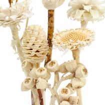 Article Assortiment Afrique blanchi 60 pcs