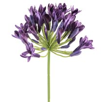 Article Agapanthe fleurs artificielles décoration violette lys 75cm 2pcs
