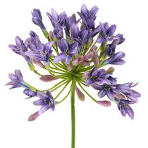 Article Agapanthe Lys Africain Fleurs Artificielles Violet L75cm 2pcs