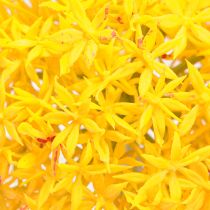 Article Allium Fleur Jaune Oignon Artificiel 80cm Ø14,5cm 2pcs