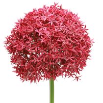 Article Allium à Bordeaux ail ornemental artificiel Ø18cm L90cm