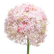 Article Allium à fleurs roses oignon artificiel Ø18cm L90cm
