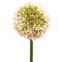 Article Allium ornemental artificiel rose / vert Ø8cm 58cm