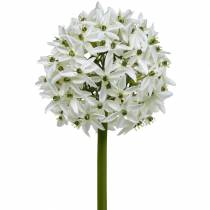 Article Fleur décorative Allium, boule artificielle poireau, oignon décoratif blanc Ø20cm L72cm