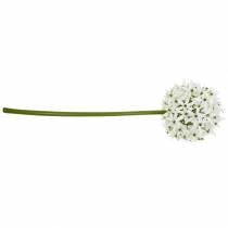 Article Fleur décorative Allium, boule artificielle poireau, oignon décoratif blanc Ø20cm L72cm