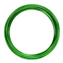 Article Fil d&#39;aluminium 2mm 100g vert pomme