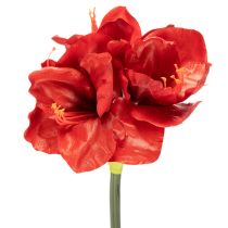 Article Amaryllis artificielle rouge à longue tige, pour vase et composition florale, 77 cm