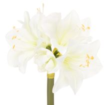 Article Amaryllis artificielle blanche avec tige, Avent et Noël, 50 cm