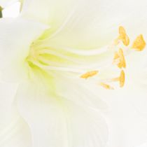 Article Amaryllis artificielle blanche avec tige, Avent et Noël, 50 cm