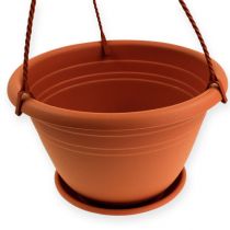 Article Panier suspendu Galicia Ø30cm terre cuite