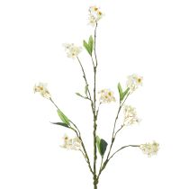 Article Branche de pommier en fleurs, branche de fleur artificielle, blanche, 65 cm, 1 pièce