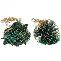 Article Moules huîtres tranches de capiz en filet turquoise 3,5–9,5cm 2pcs