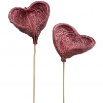 Article Badam sur bâtonnet Déco Rouge, blanchi 7-13cm 25 pièces