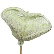 Article Badam sur bâton décoration naturelle vert blanc lavé 25 pièces
