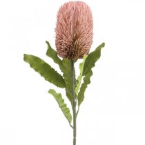 Article Fleur artificielle Banksia rose automne décoration fleuristerie commémorative 64cm